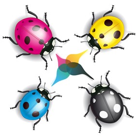 可爱卡通七星瓢虫矢量图